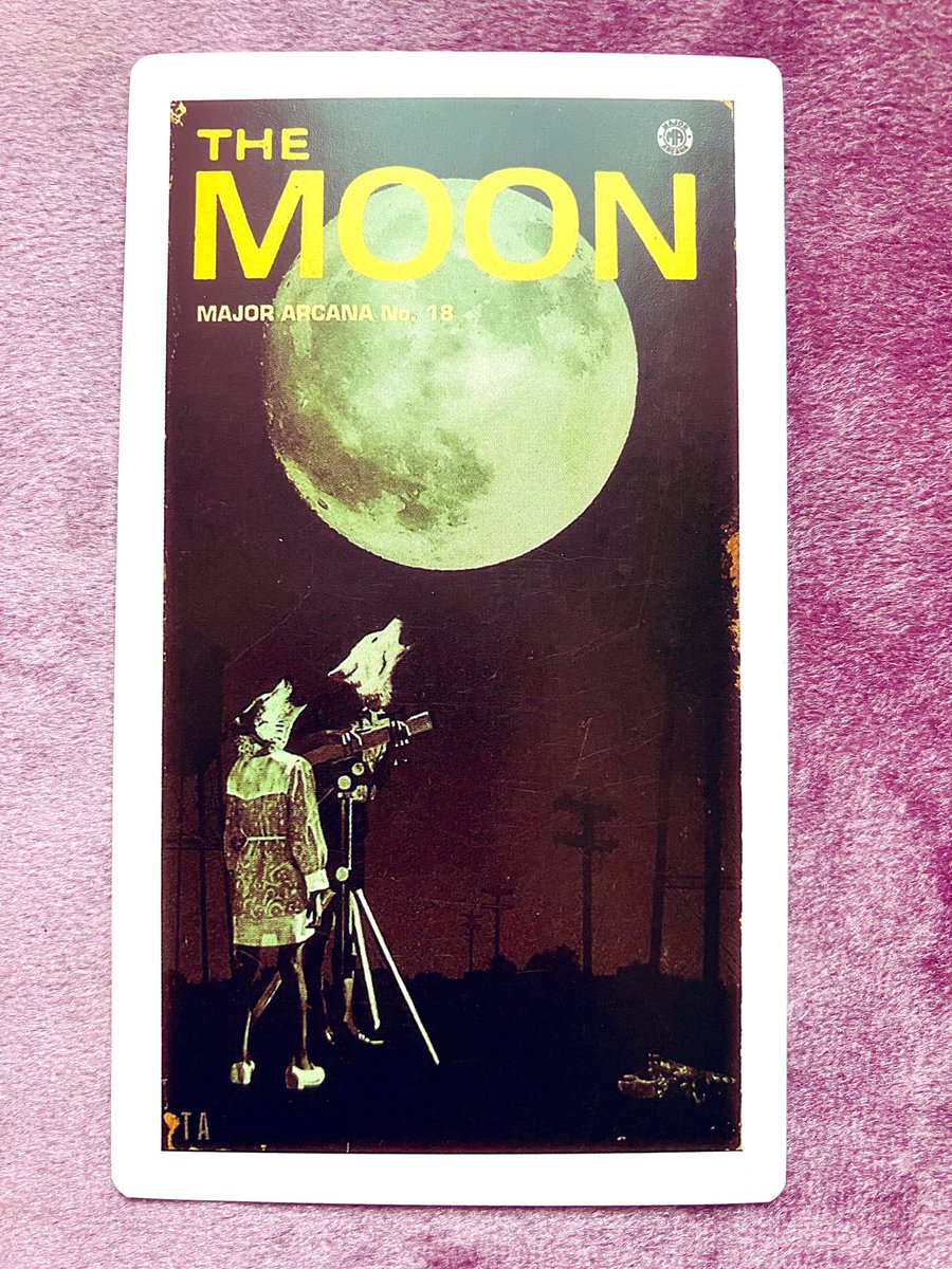 隠者の呟き tweet media