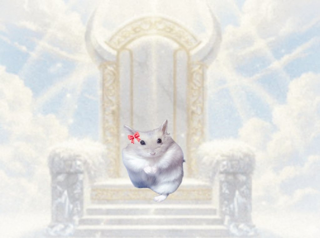 ໒꒰՞υωιι՞꒱ა | ki/a busy rl tweet media