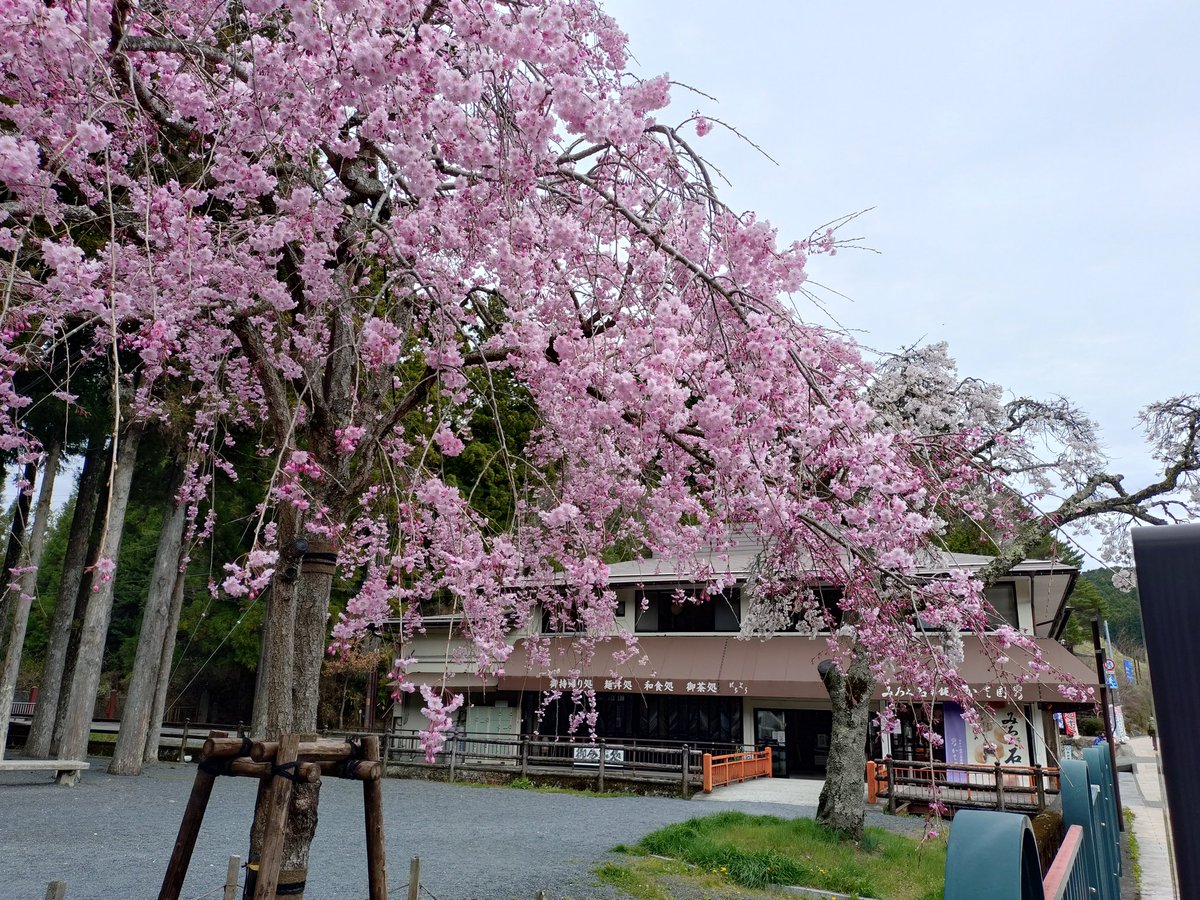 覚弘院 田中教照 tweet media