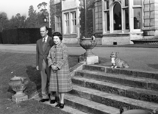 インテリア雑貨のキャリコ tweet media