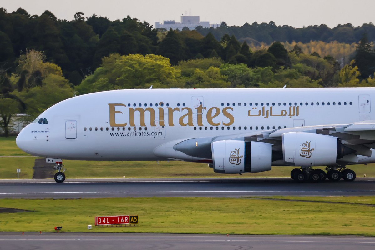 まささん。 tweet media