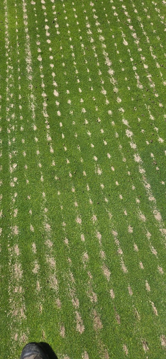 Dryject Ontario tweet media