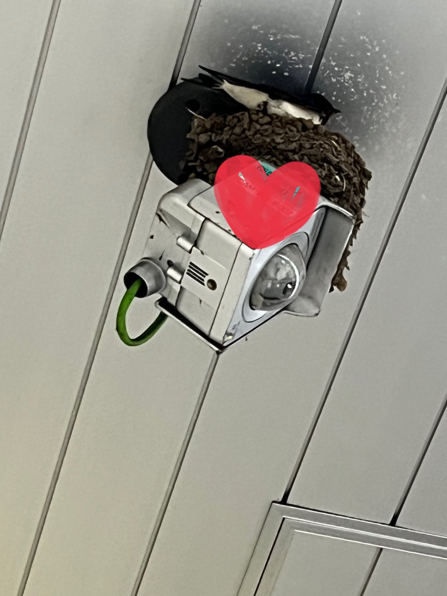 ににろく tweet media