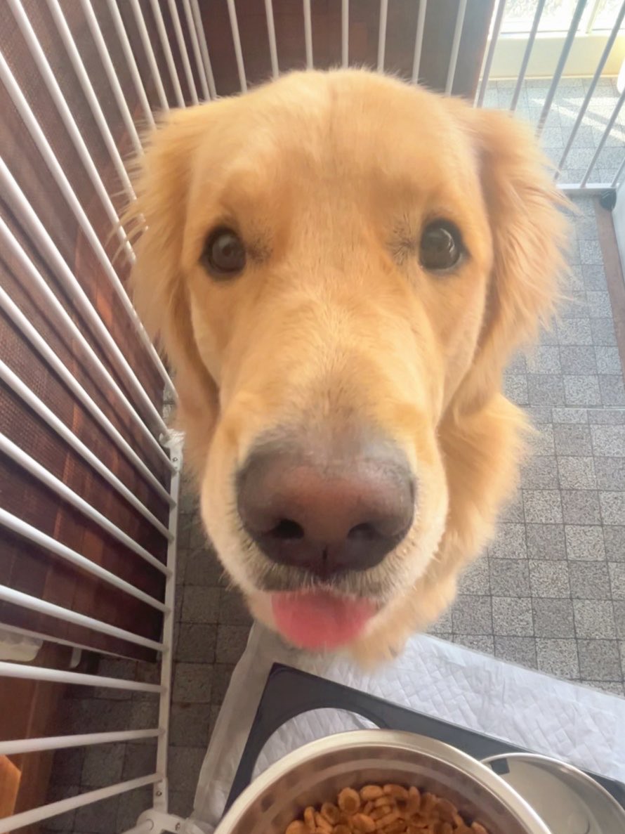 ぴーママ tweet media