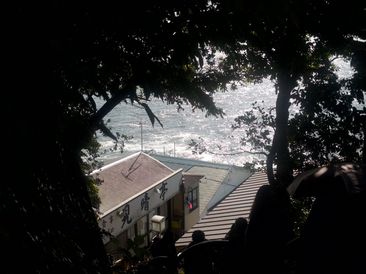 すい🪼やっぱりまかろん。 tweet media