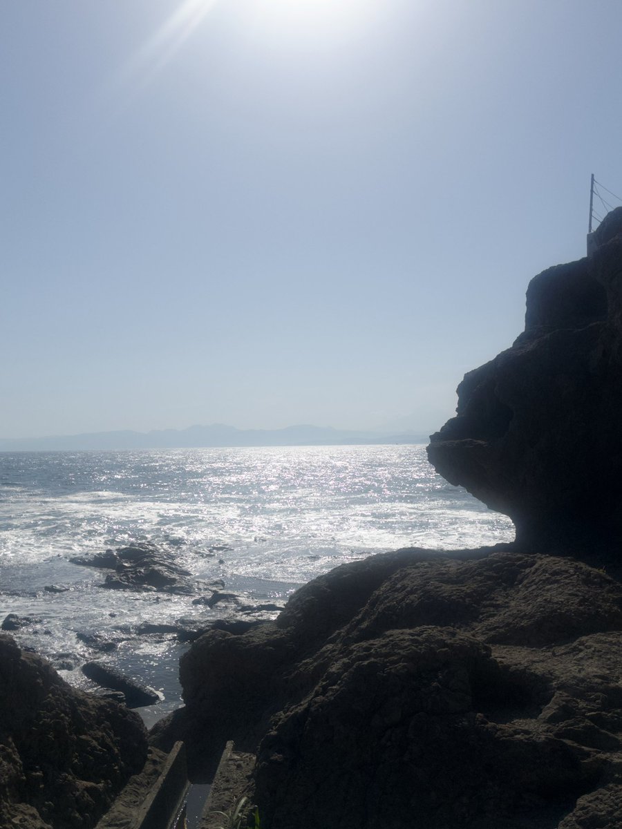 すい🪼やっぱりまかろん。 tweet media