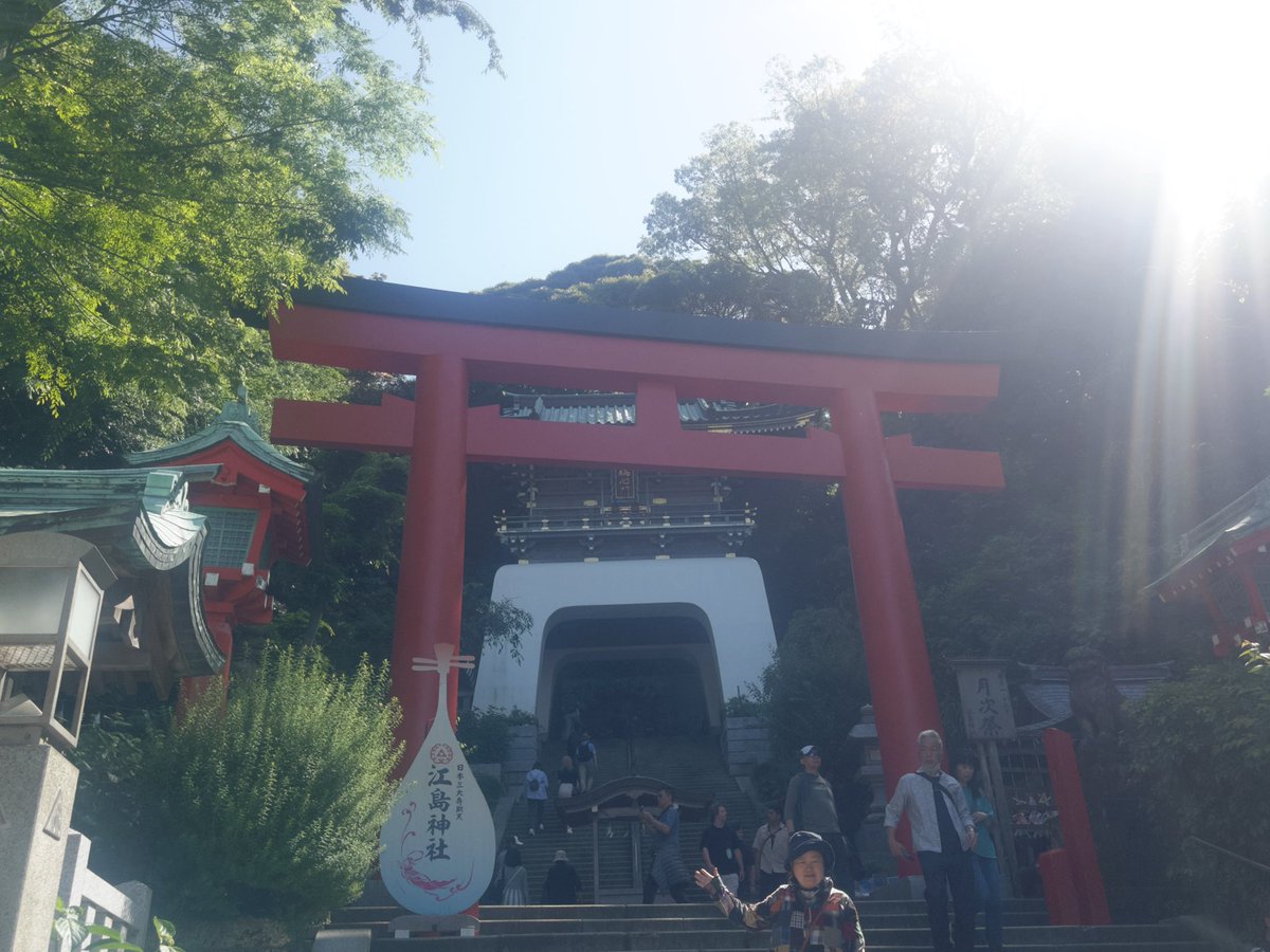 すい🪼やっぱりまかろん。 tweet media