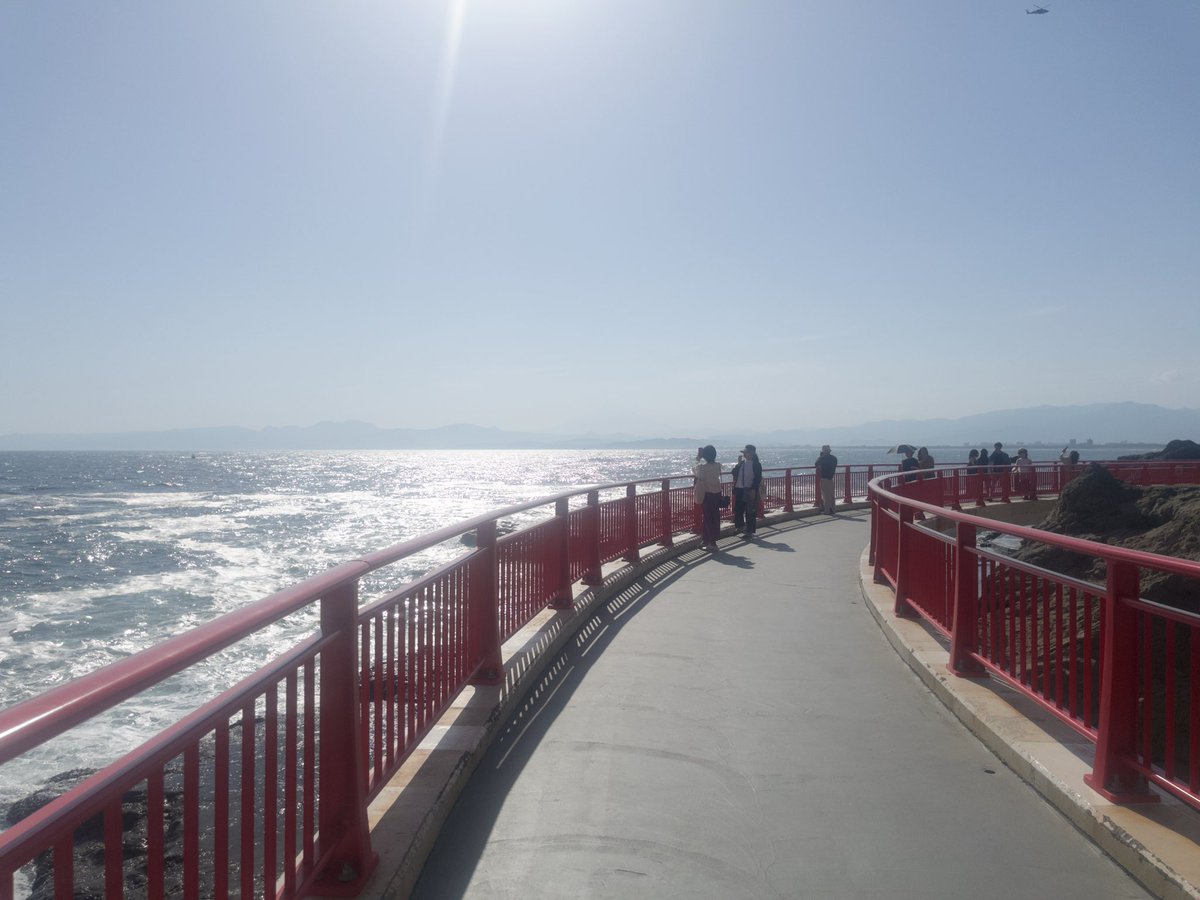 すい🪼やっぱりまかろん。 tweet media