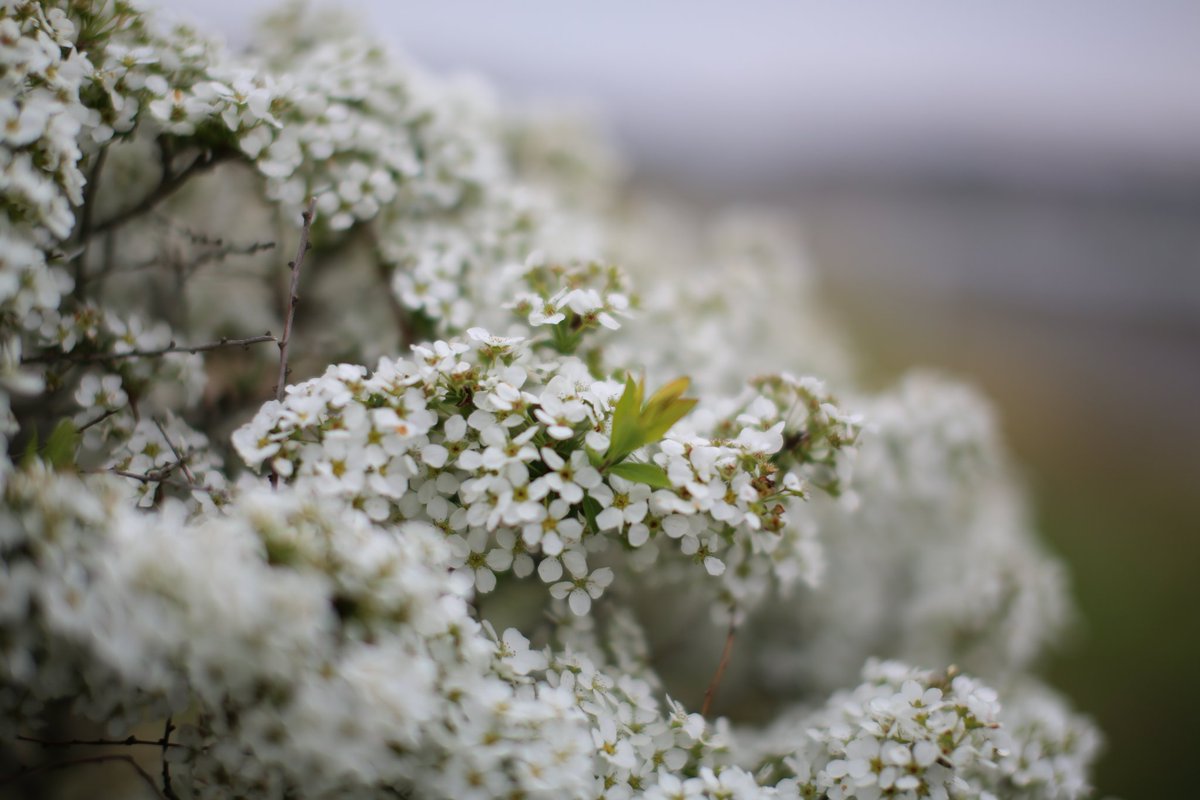 ヨル-𝔜𝔬𝔯- tweet media