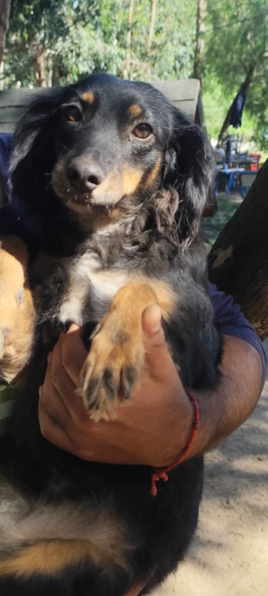 Giovanna Moreno tweet media