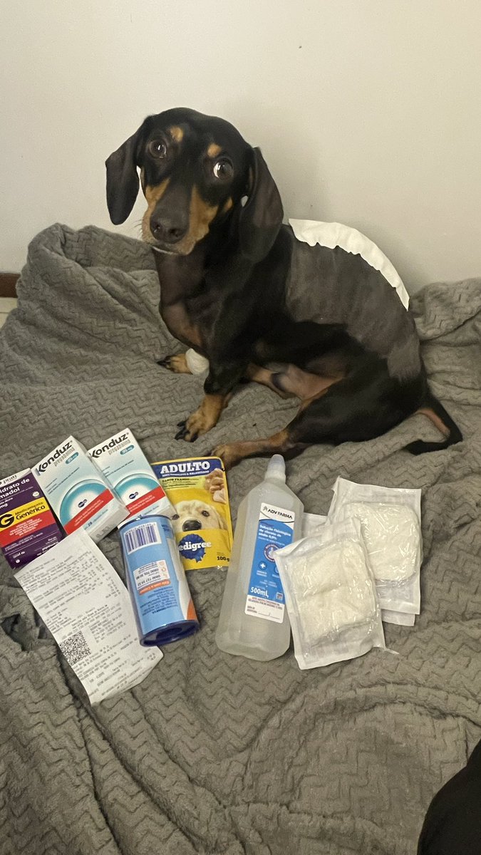 Be 🦇 📌 AU Wenclair tweet media