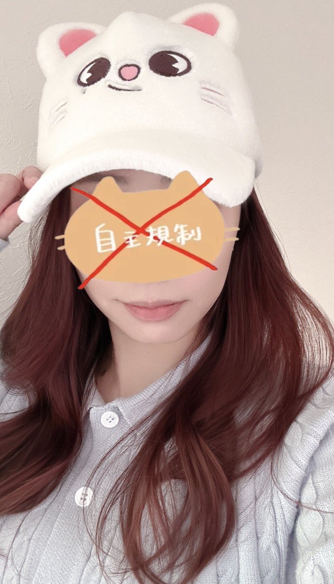 🥟megu🦙 tweet media