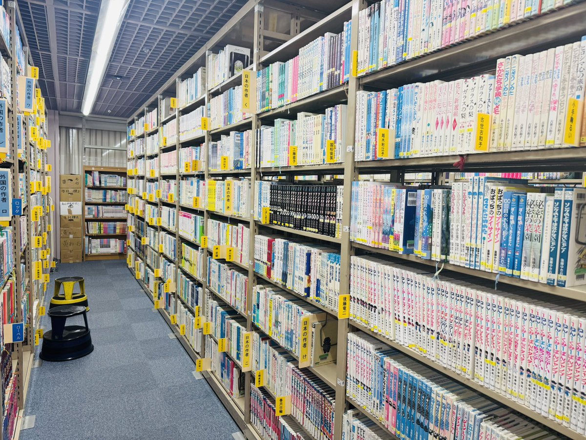 kumi🌼朝活命の行政書士 tweet media