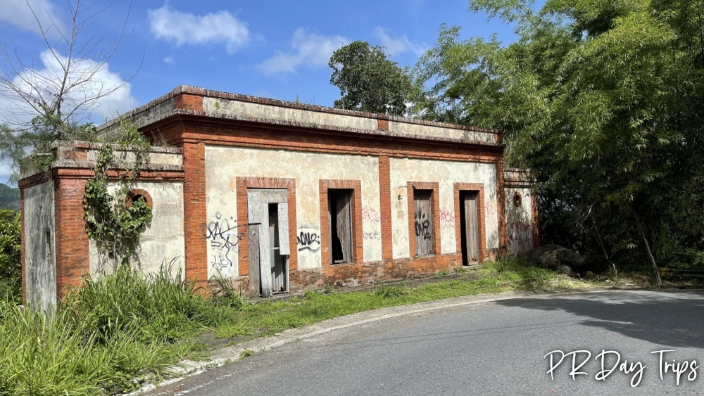 PuertoRicoDayTrips tweet media