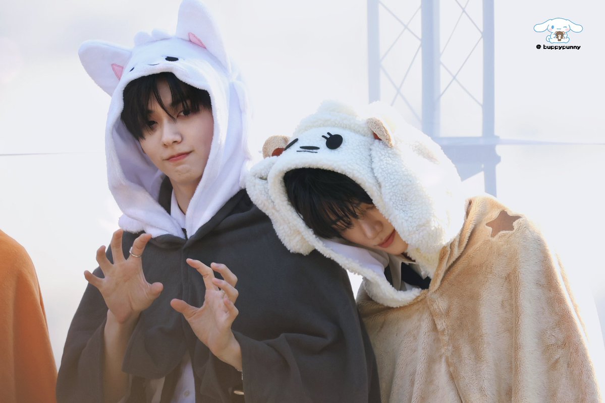 🐰🐶 tweet media