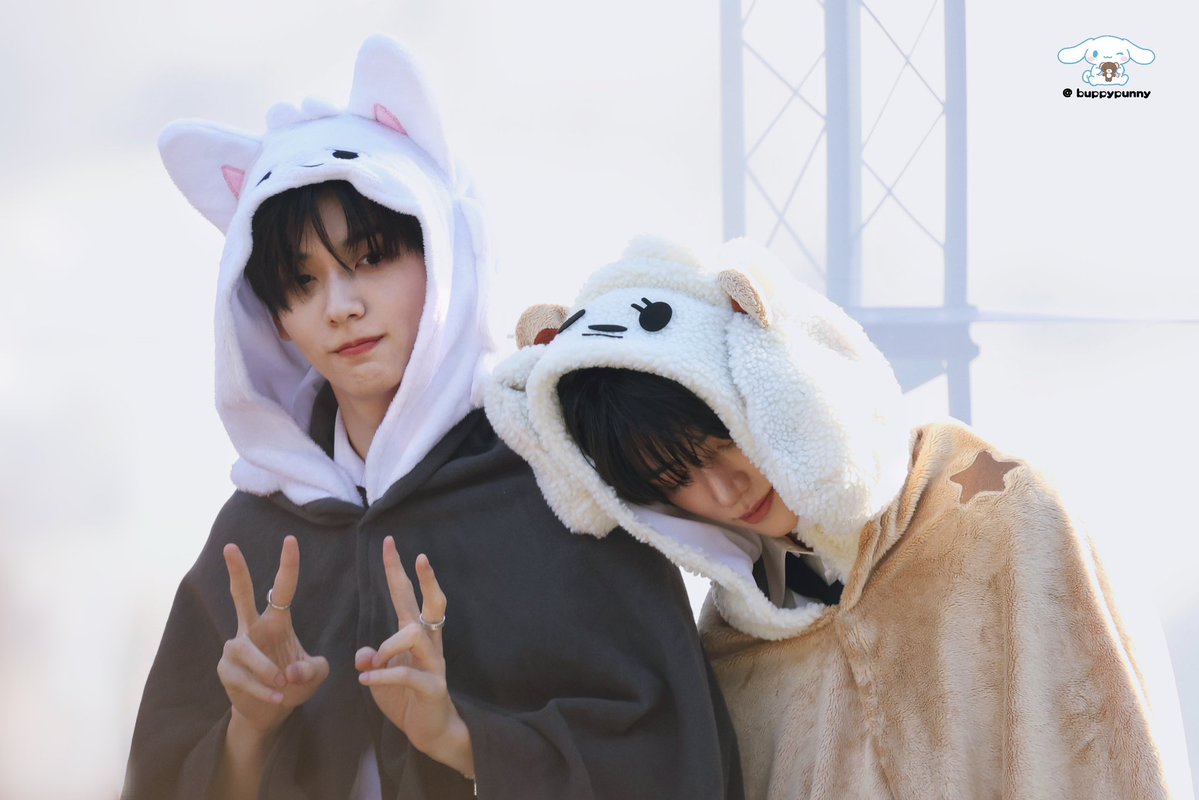 🐰🐶 tweet media