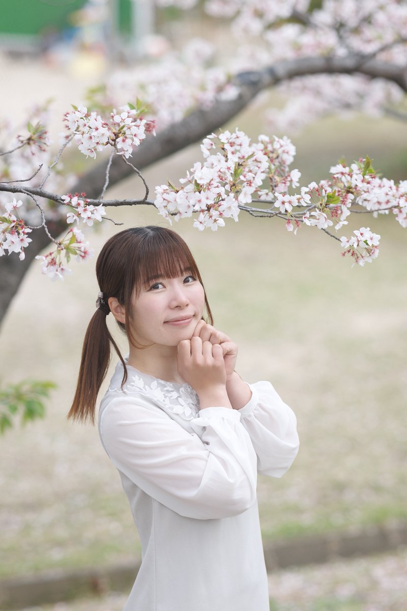 ◎ 田島綾夏 桜撮影会🌸【2025.04.12 廿日市市内】
 #田島綾夏（<a href="/tashimaayaka/">田島 綾夏</a>）
 #ポートレート