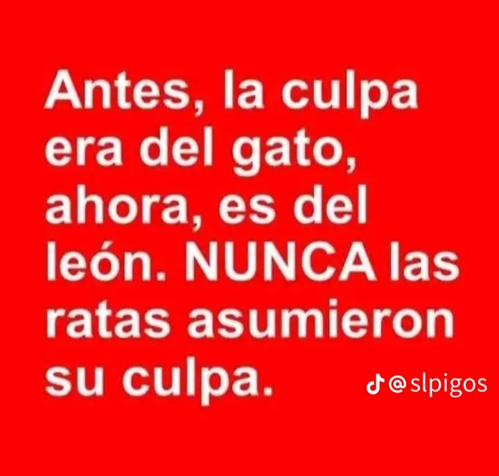 MARCELO FAVA tweet media