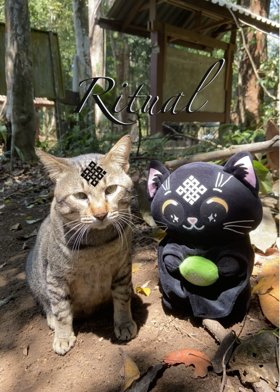 kratae168 (❖,❖) tweet media