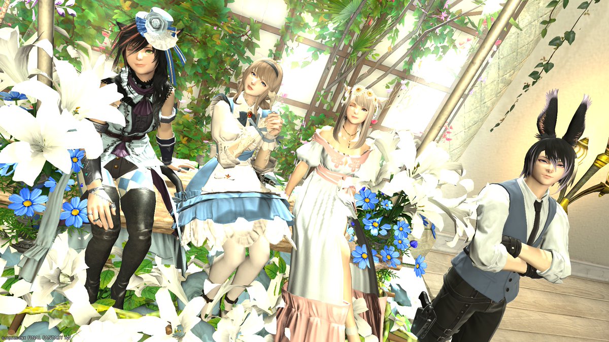 のるか tweet media