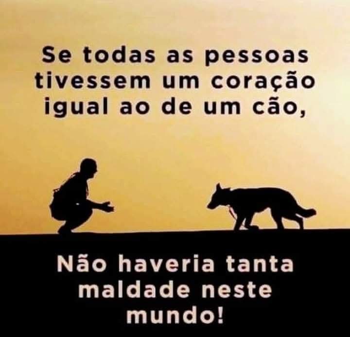 BOA NOITE GENTE DO BEM!!🙏🏻🐾❤️💚⭐️❤️🌙👍