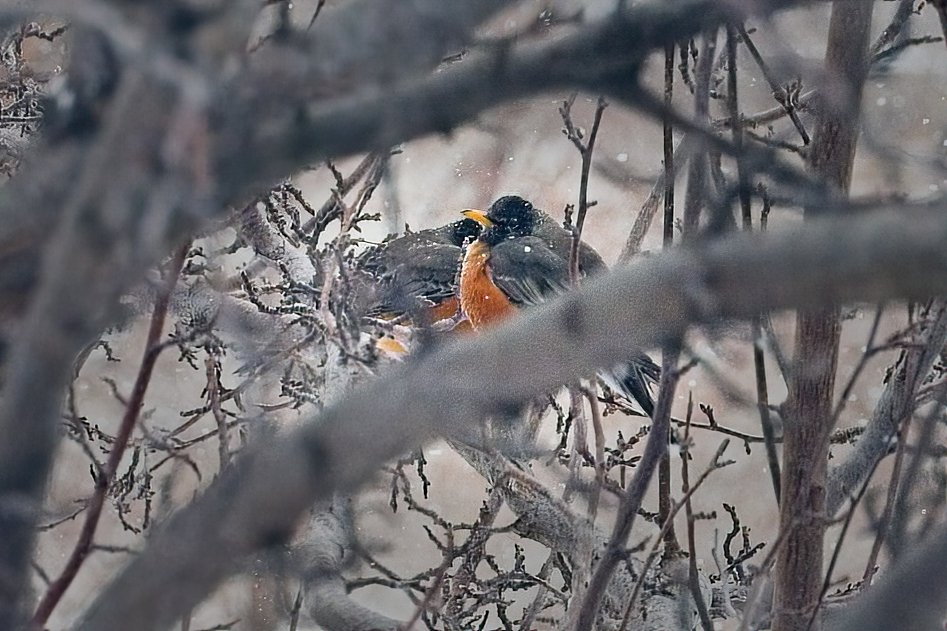 Jeff Hamon Photo tweet media