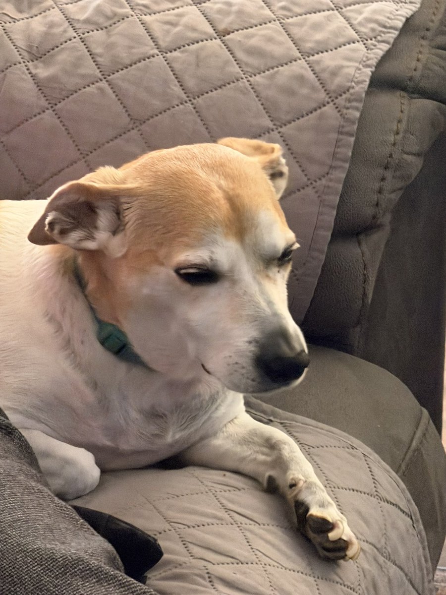 💗Giggi💗 tweet media