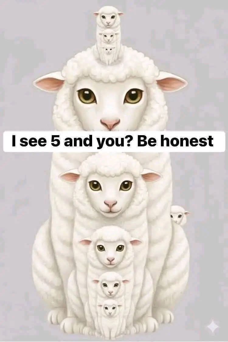 𝚂𝚞𝚏𝚒𝚊 𝚂𝚑𝚊𝚑🍁 tweet media