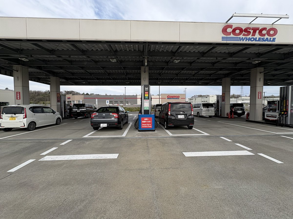 vertvega(ベールベガ) tweet media