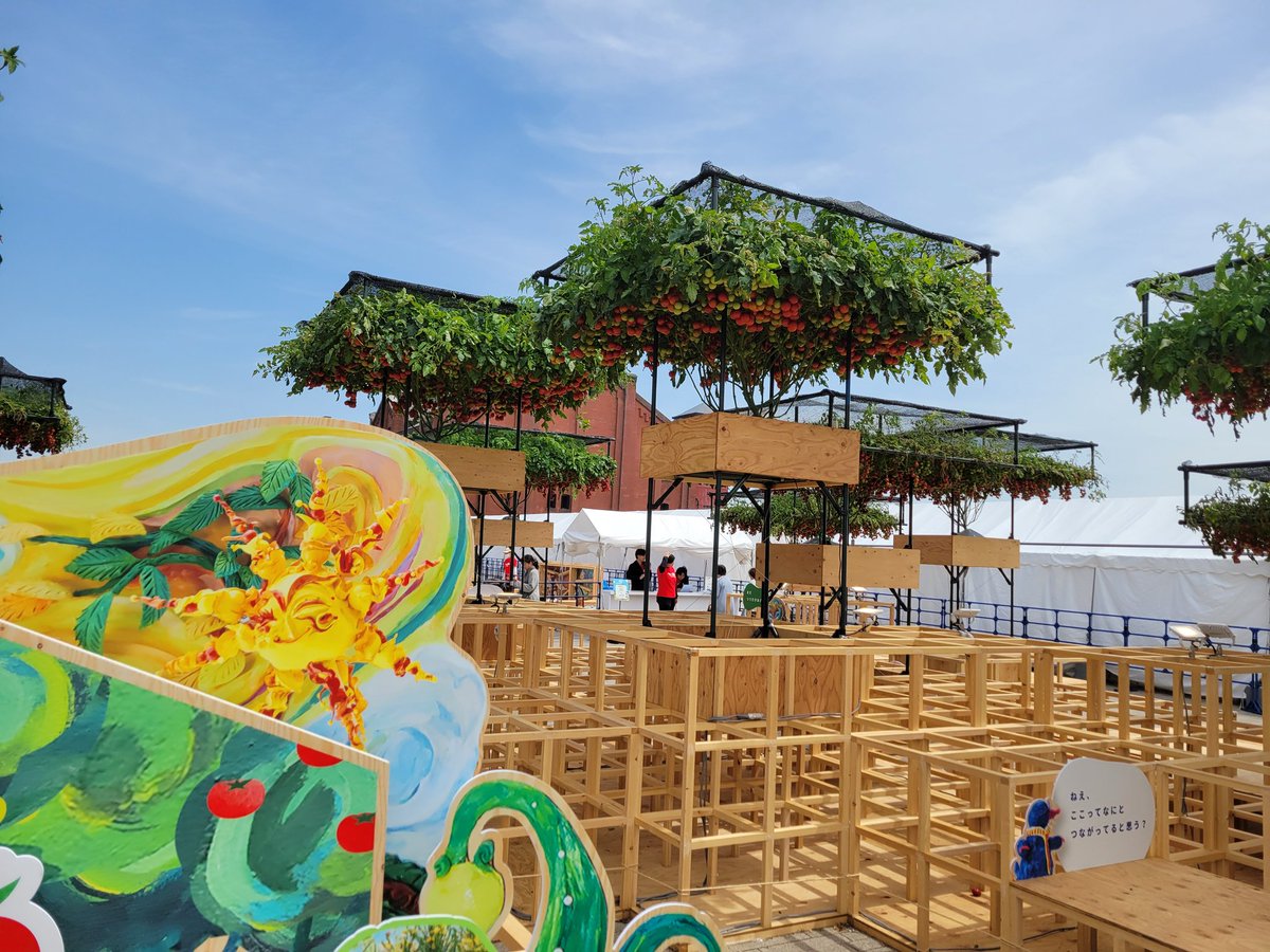 Puls Raixer/れいざー🦈 tweet media