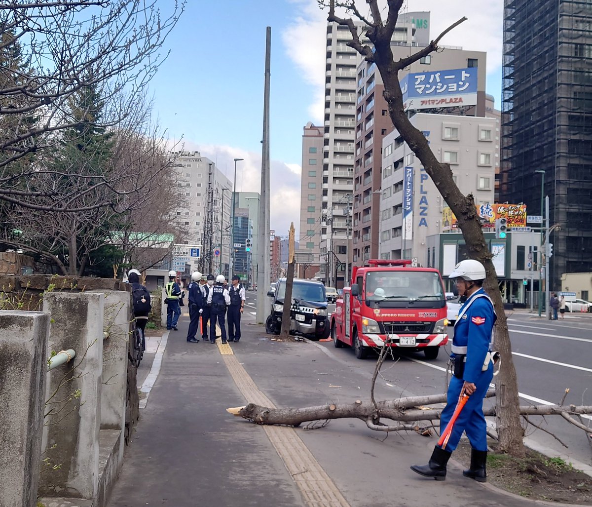 【動画】札幌でカーチェイス→逃走してた飲酒運転の三菱デリカが街路樹に激突→追いかけてきた覆面パトカーが気づかずどこかへ行ってしまうｗｗｗｗｗｗｗｗのサムネイル