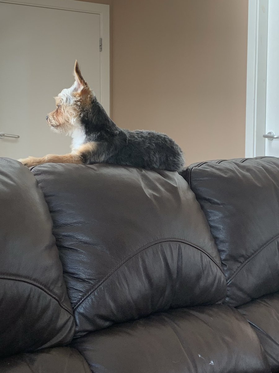 Hugh Reid tweet media