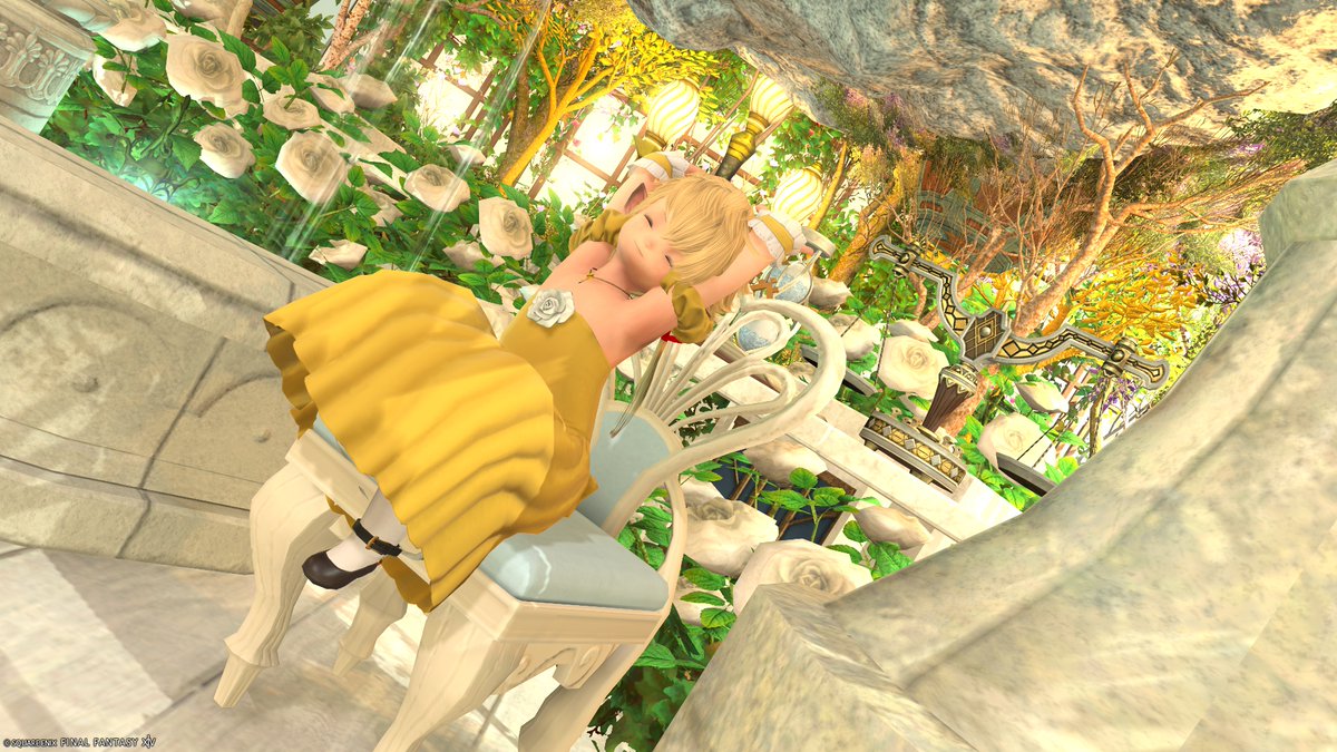 のるか tweet media