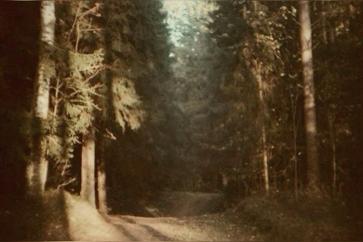 ᔕᗴᖇᗩᑭᕼIᑎᗩ ( ˶°ㅁ°) tim’s pr manager tweet media