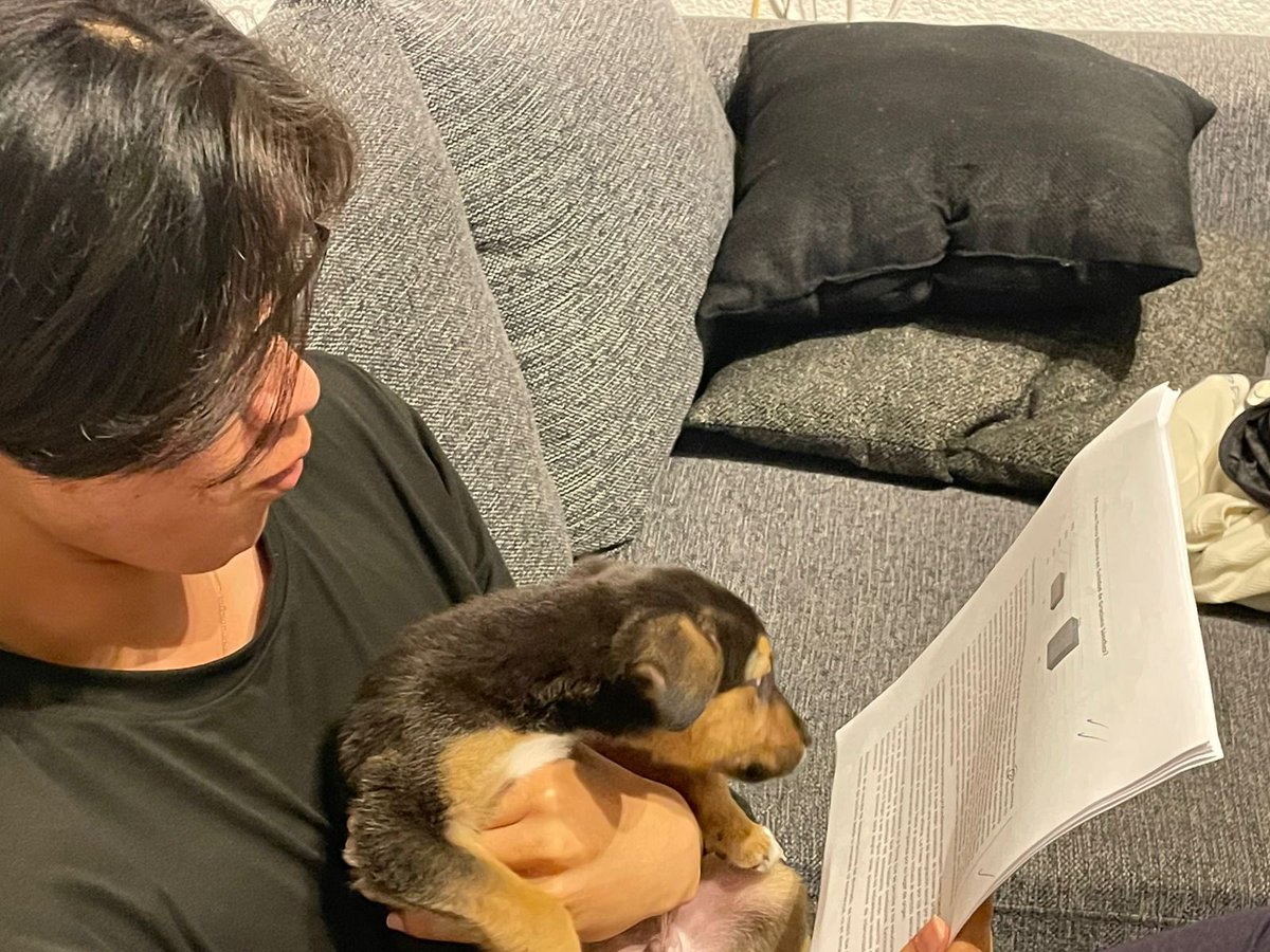 ✨Nelly✨💜🍉 tweet media