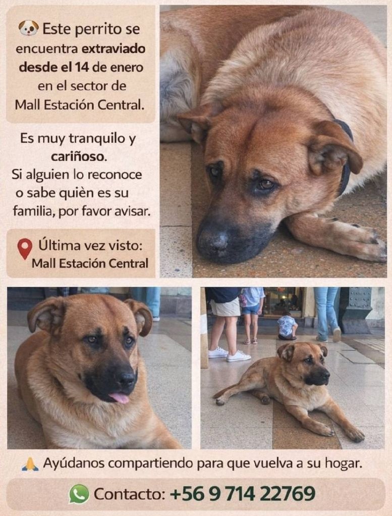 ¿Ayudamos con un RT? La esperanza es lo último que se pierde...
#EstaciónCentral