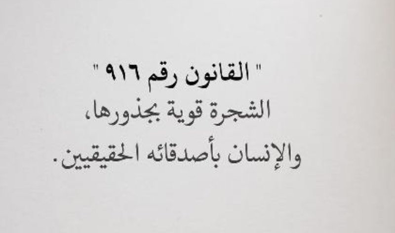محمد الشحي ☕️ ✍️ tweet media