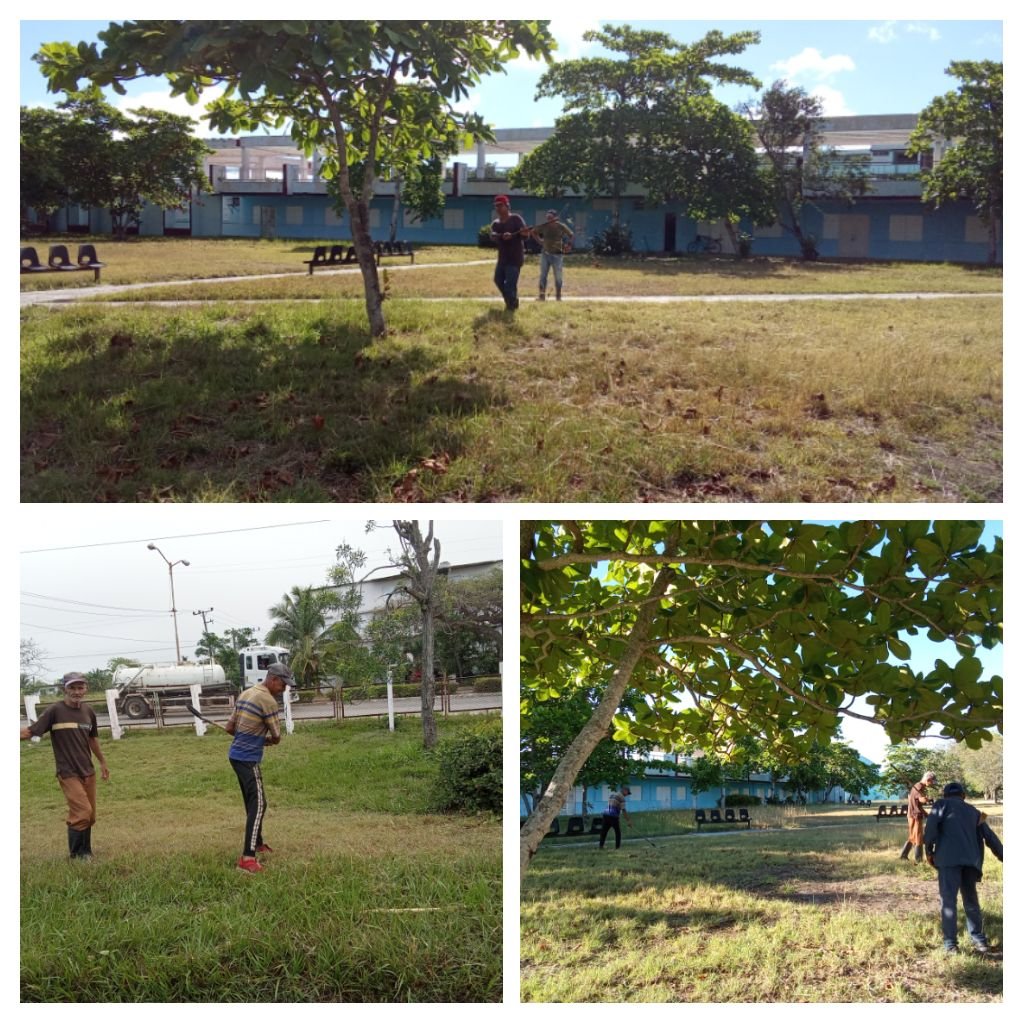 Rectora UCMLT tweet media