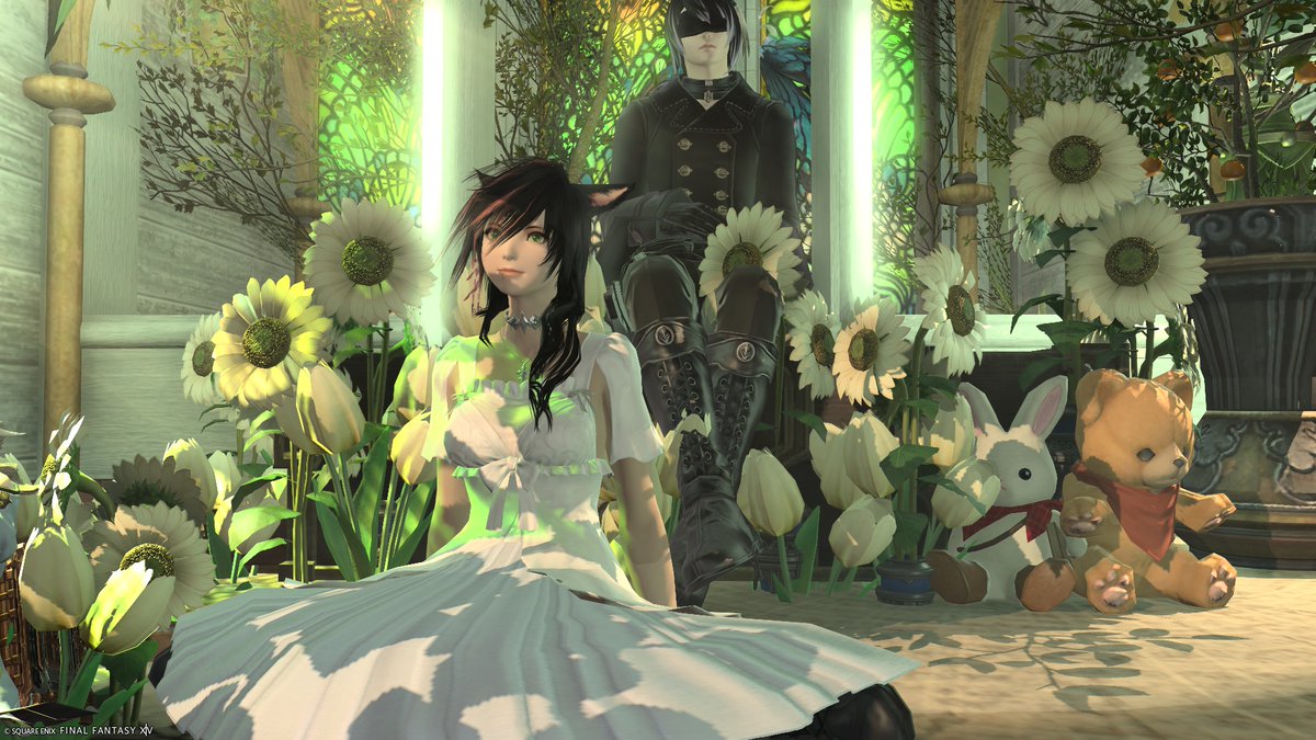 のるか tweet media