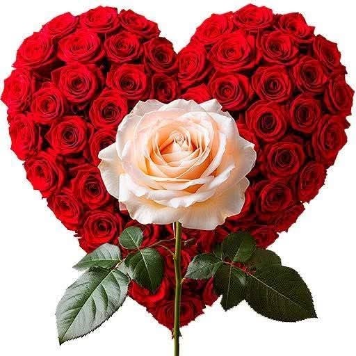 Only For you tweet media