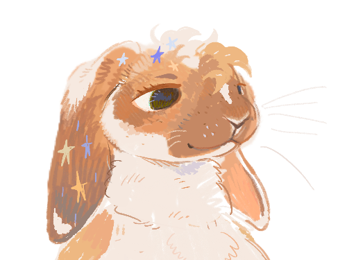 ✹𓃥✎ tweet media