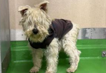 くるみmama tweet media