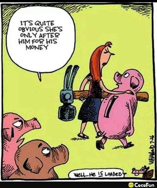 😂😂😂
