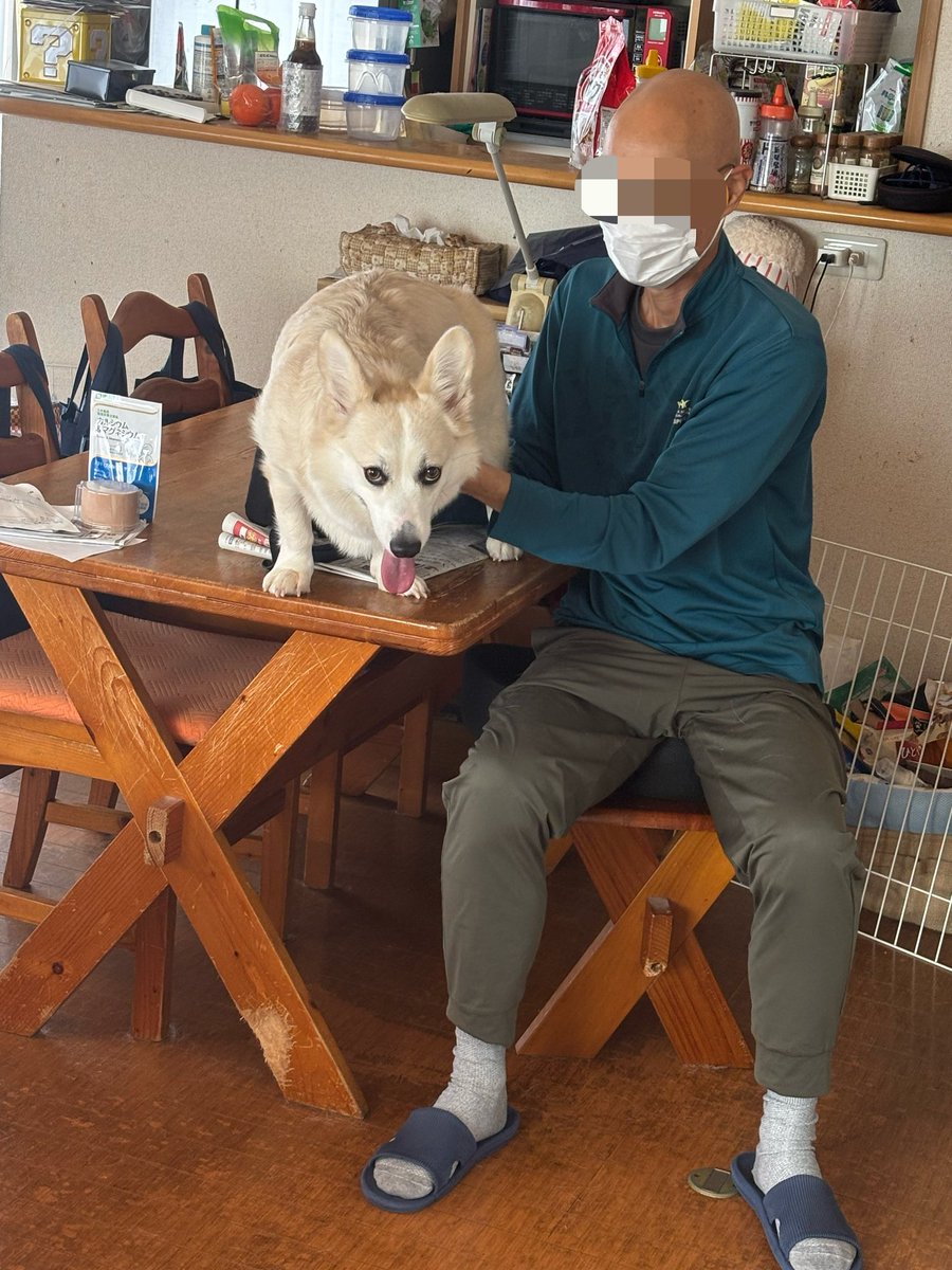 いちみ tweet media