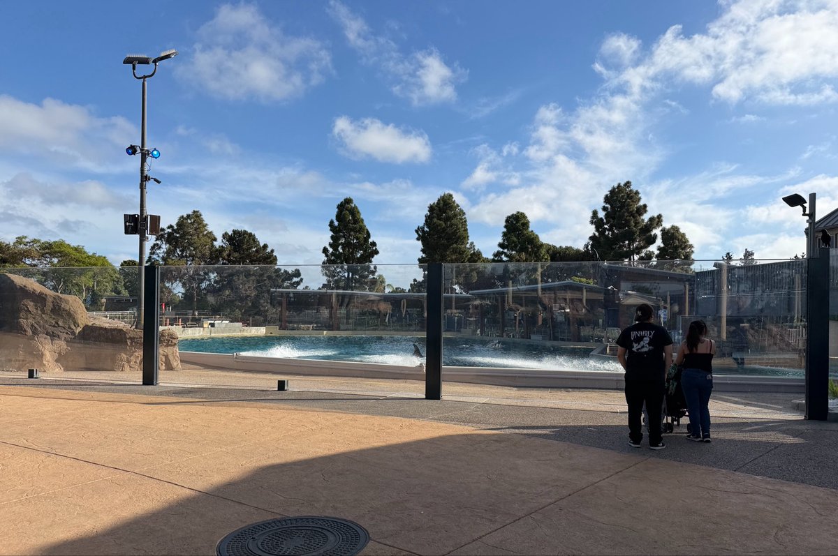 Attractions 360° tweet media