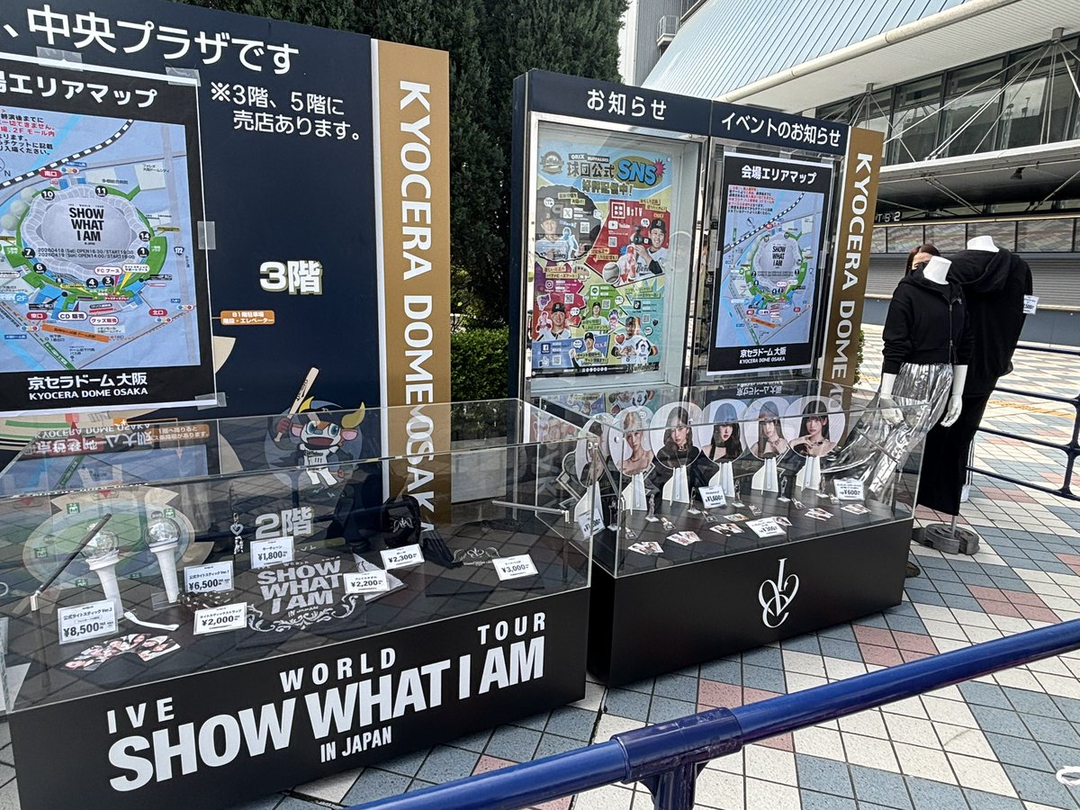 🤍🐯いそまるる🐯‎🤍 tweet media