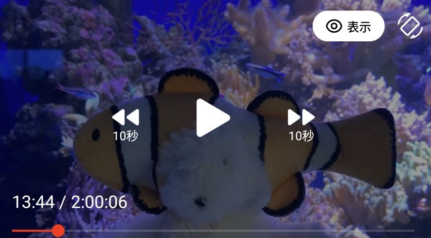 くまにんげん tweet media