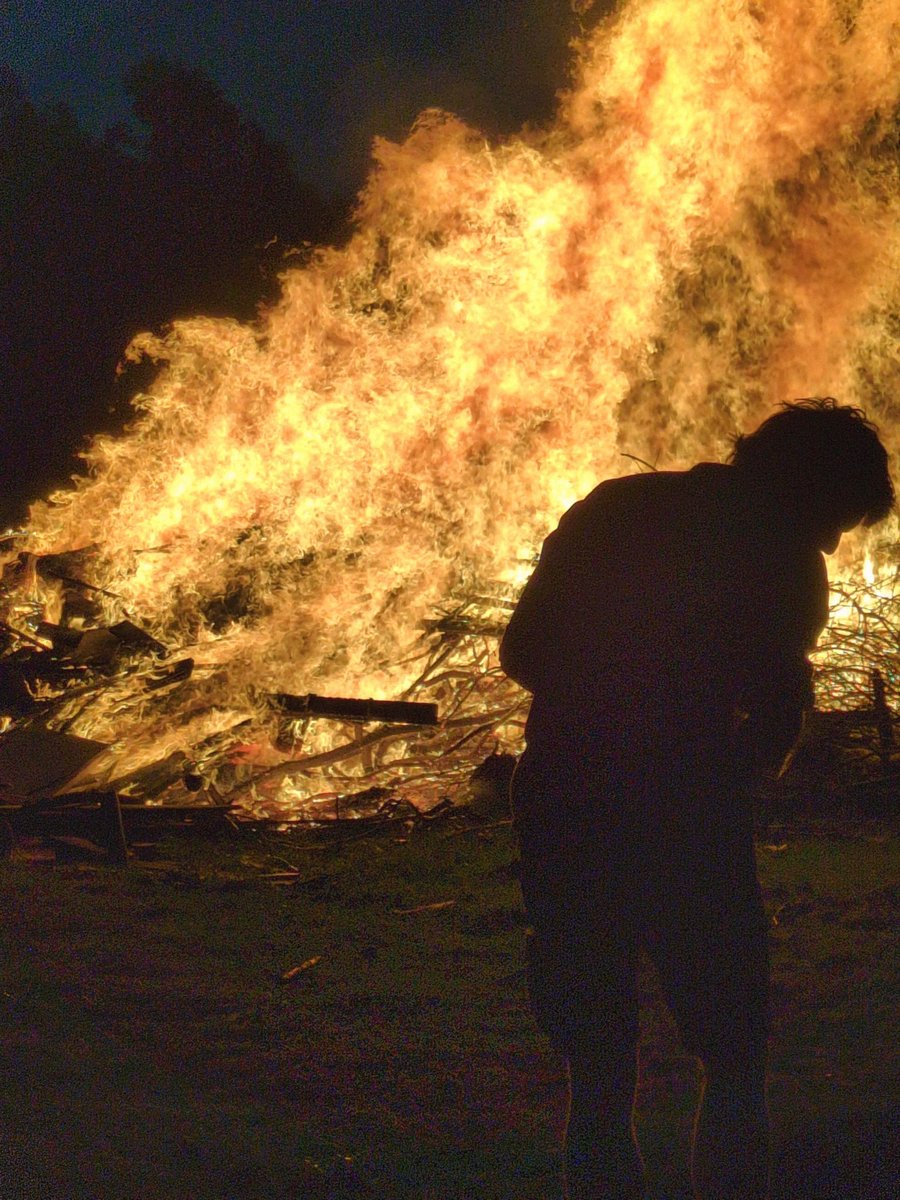 mango bee tweet media