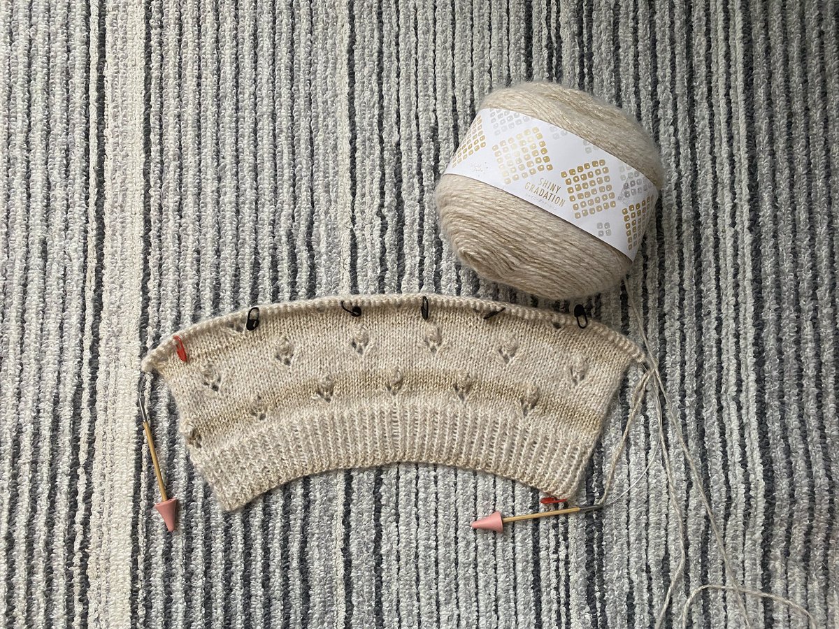 eri____knit's tweet photo. 模様も糸もかわいすぎ〜って眺めてたら、90サイズは左側一模様いらんって書いてたー！！
実は途中からねじりゴム編みにしてたの見ないふりしてたし、最初から編み直そう〜！もう一回編める〜😂 https://t.co/454pgvfai4