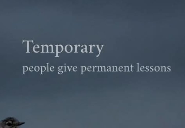 CookieKL's tweet image. #Life #lessons.. from temporary #people.... 
👇👇👇💯💯💯👇👇👇